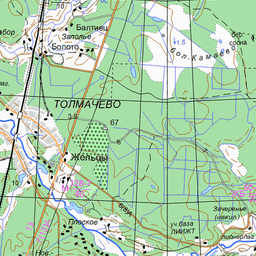 Толмачево карта лужский район