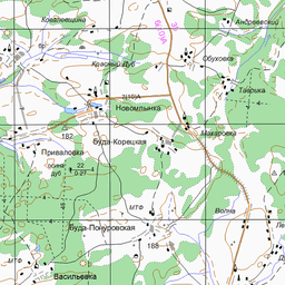 Курковичи брянская область карта