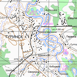 Карта туринская слобода. Усениново на карте.