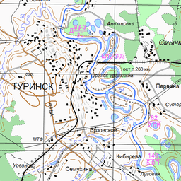 Кадастровая карта туринская слобода